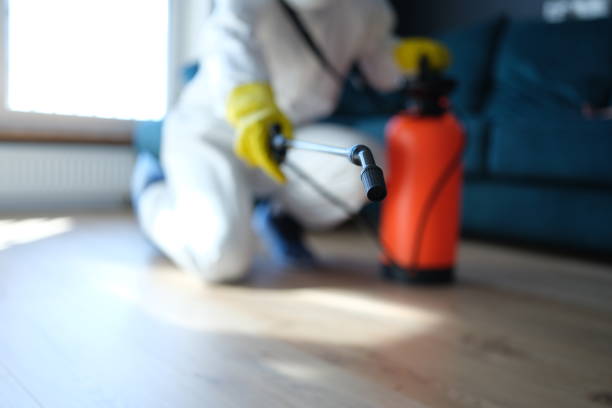 Bed bug treatment near me — Gold Shield Pest Control technician treating a bedroom in Leon Valley, TX.